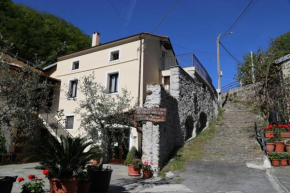 Гостиница Agriturismo Dai Marchesin  Назино-Борго